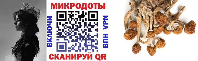 Галлюциногенные грибы мицелий  наркотики  Ахтубинск 